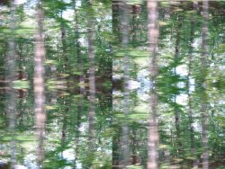 {short description of image}