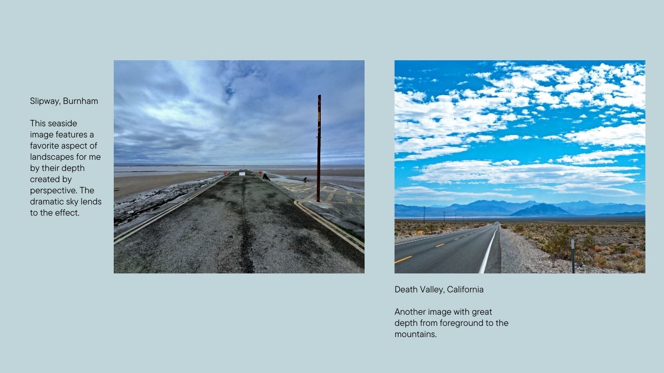 {short description of image}