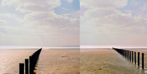 Horizons